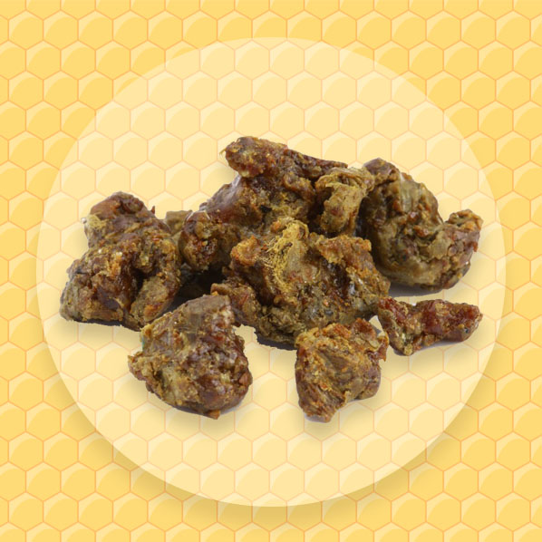 Sağlık İçin Propolis 